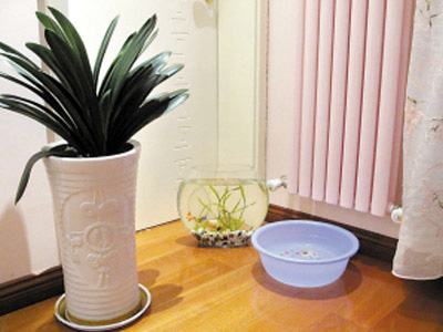 室内干燥不用加湿器怎么办,屋里干燥不用加湿器怎样增加湿度