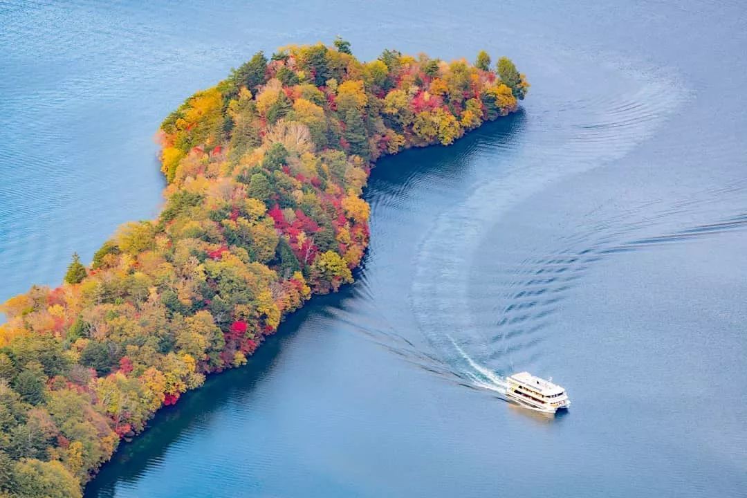 停车坐爱枫林晚风景,停车坐爱枫林晚季节