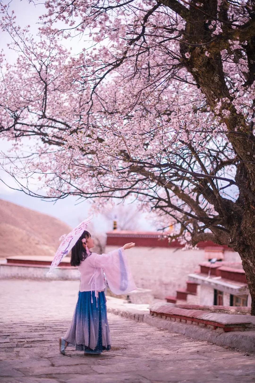 藏在日常生活中的幸福,生活在西藏是不是很幸福