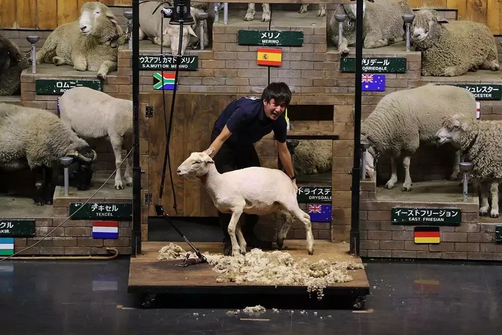 日本生态农业庄园,日本田园农场排行榜