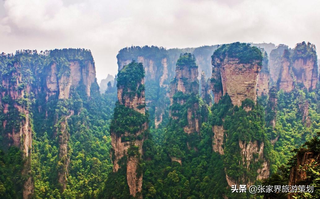 张家界旅游注意事项与攻略,张家界找导游注意事项