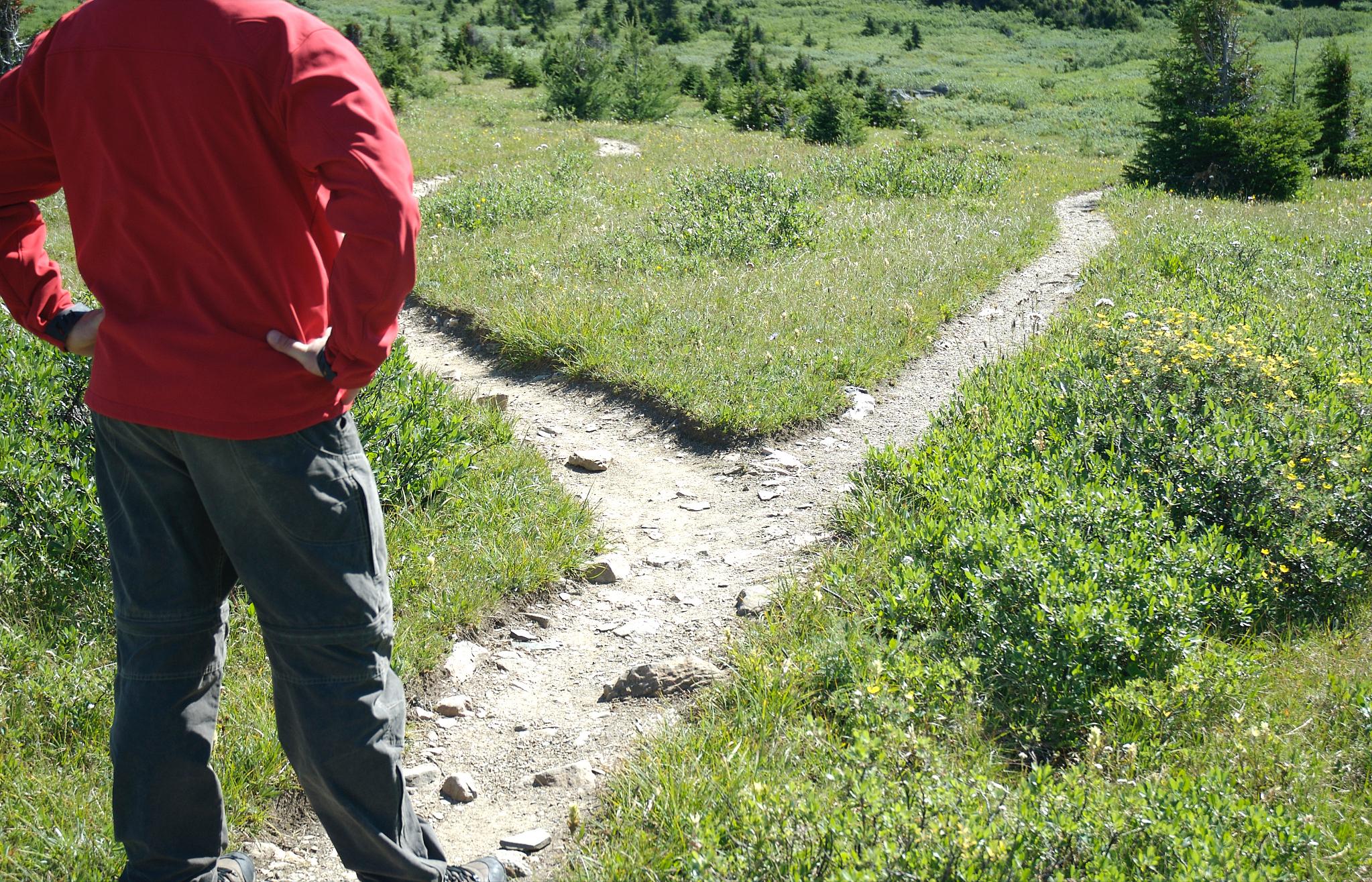 用“冷门”技能敲开985大学的门,教育内卷开始“不走寻常路”