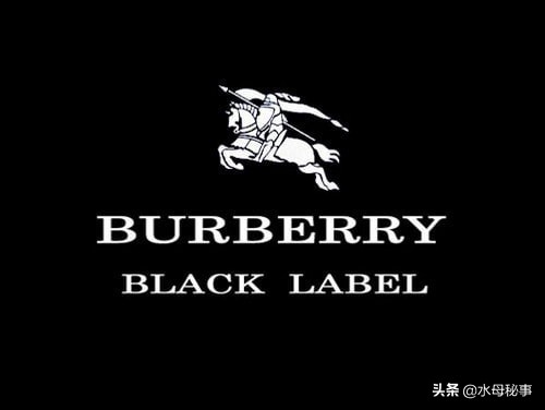 世界上15个最贵的服饰品牌,全球最贵的衣服排行榜