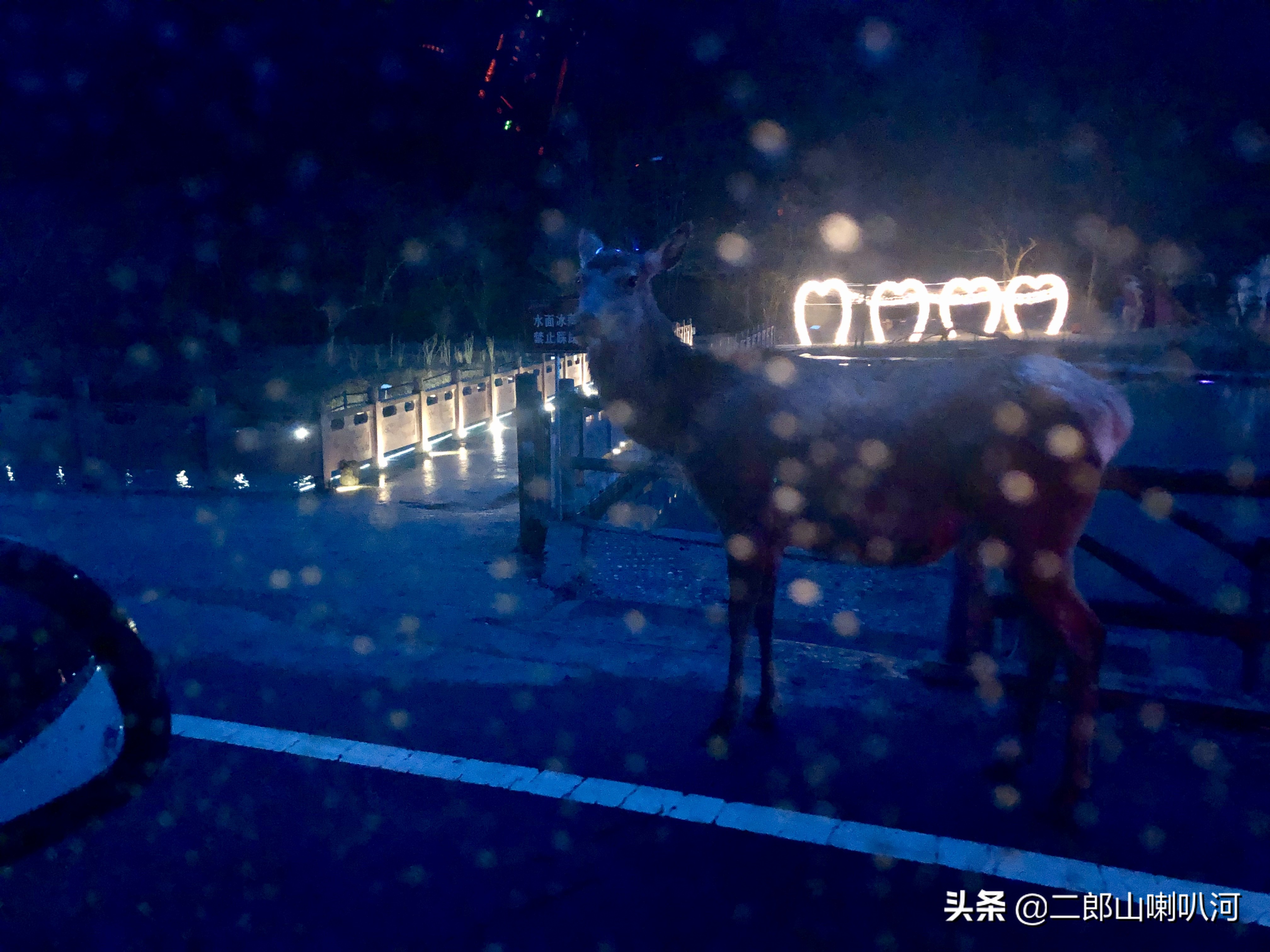 去喇叭河景区,去喇叭河玩住哪里