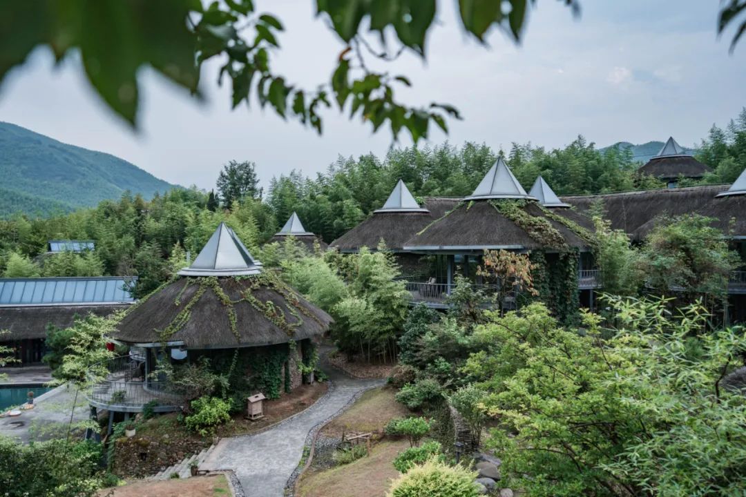 巴厘岛绿野仙踪,巴厘岛住进星空顶梦幻蘑菇屋