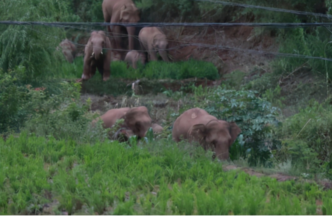 云南近年发生的较大地震,云南近十年较大地震