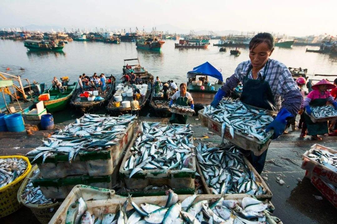 浣犲涔呮病鍘绘捣杈瑰害鍋囦簡,浣犲涔呮病鏈夊嚭闂ㄦ梾娓镐簡
