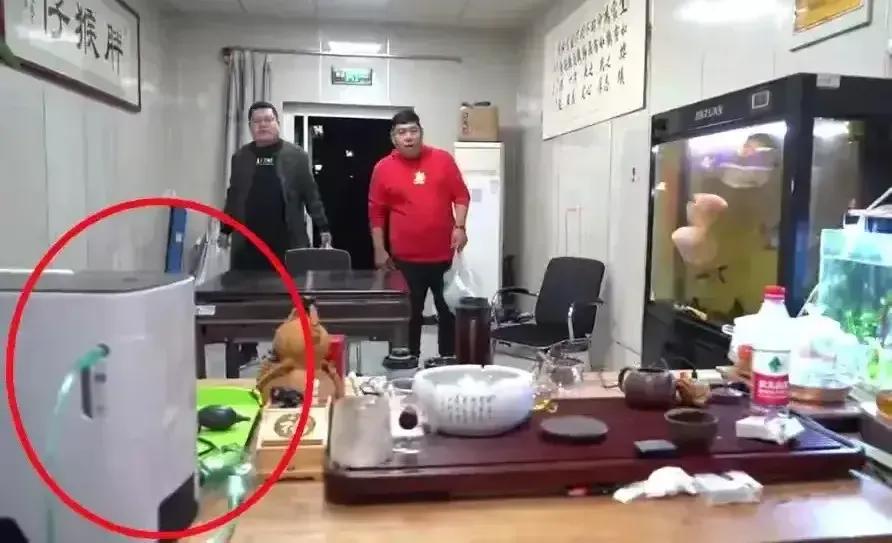 网红胖猴子最新消息,网红胖猴子多少斤