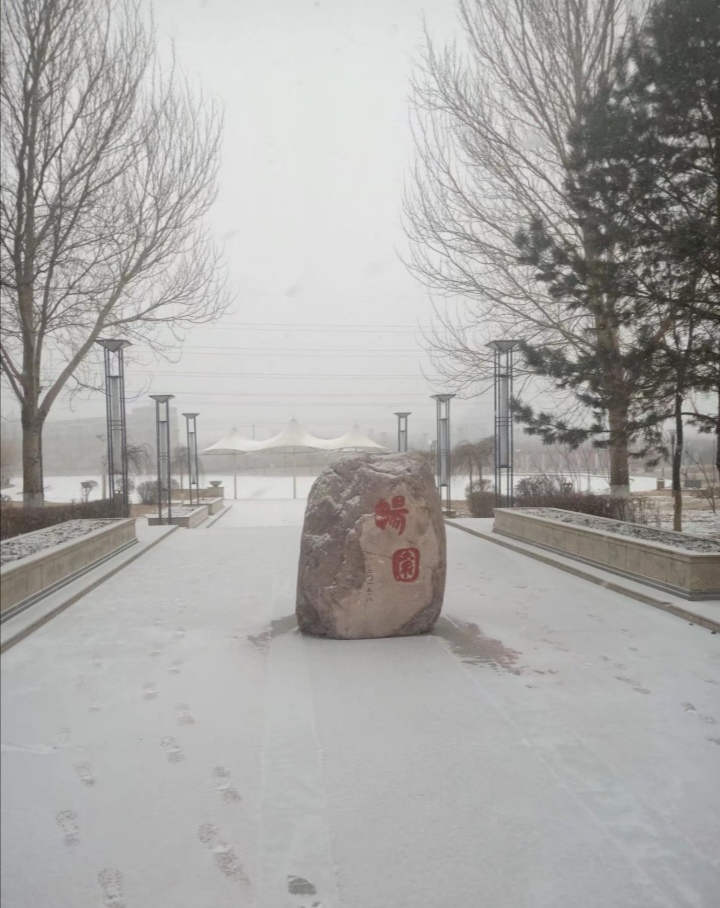 黑龙江省财经大学,黑龙江财经学院一本