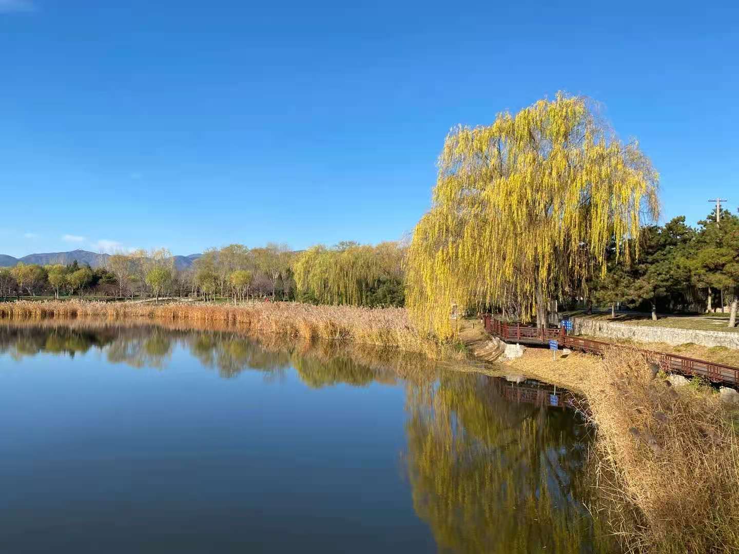 认识自己而不是认命,认识自己方能致远
