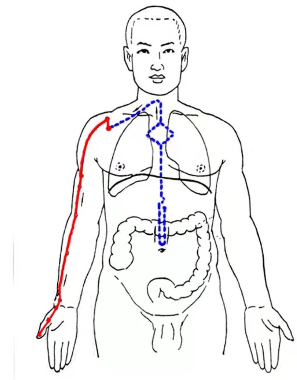 名老中医妙手抗疫,上海中医抗疫药方