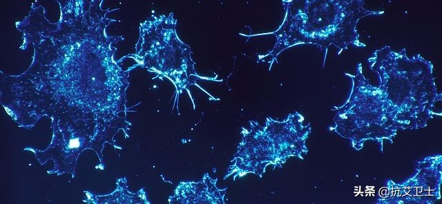 癌症患者人文关怀,癌症晚期每个人都要重视吗