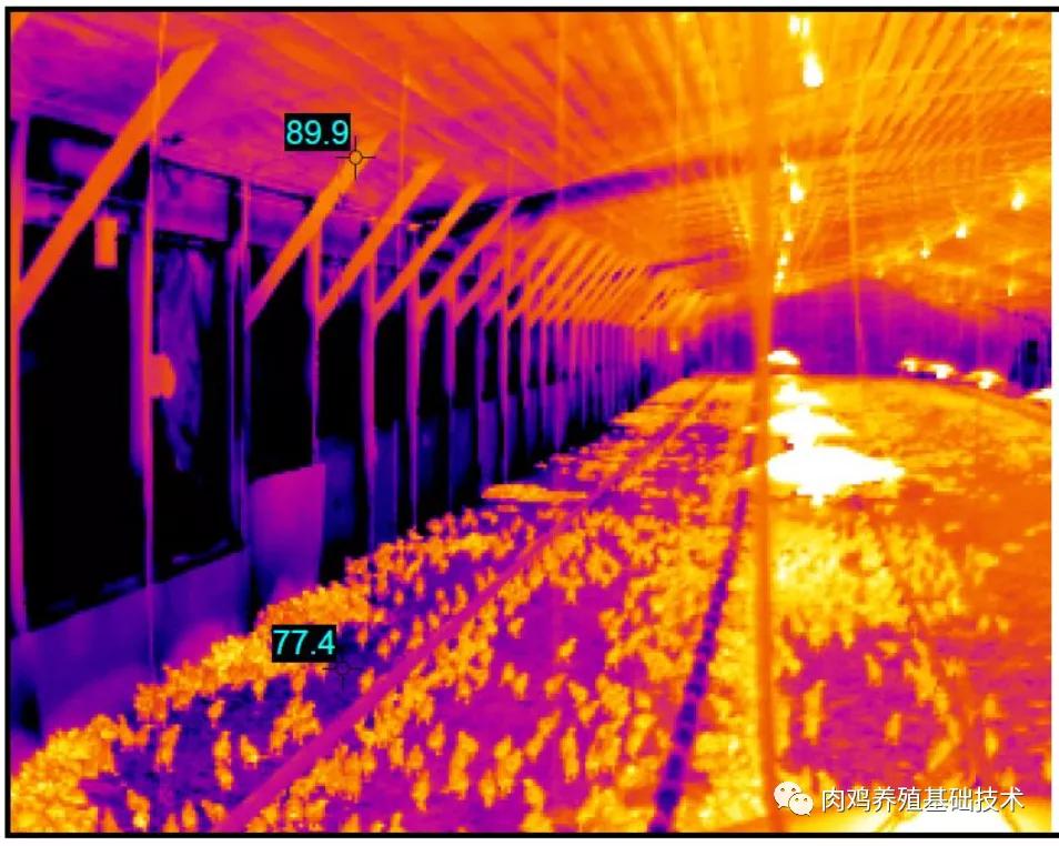 楦¤垗鐜帶,鐜帶楦¤垗寤鸿鏍囧噯