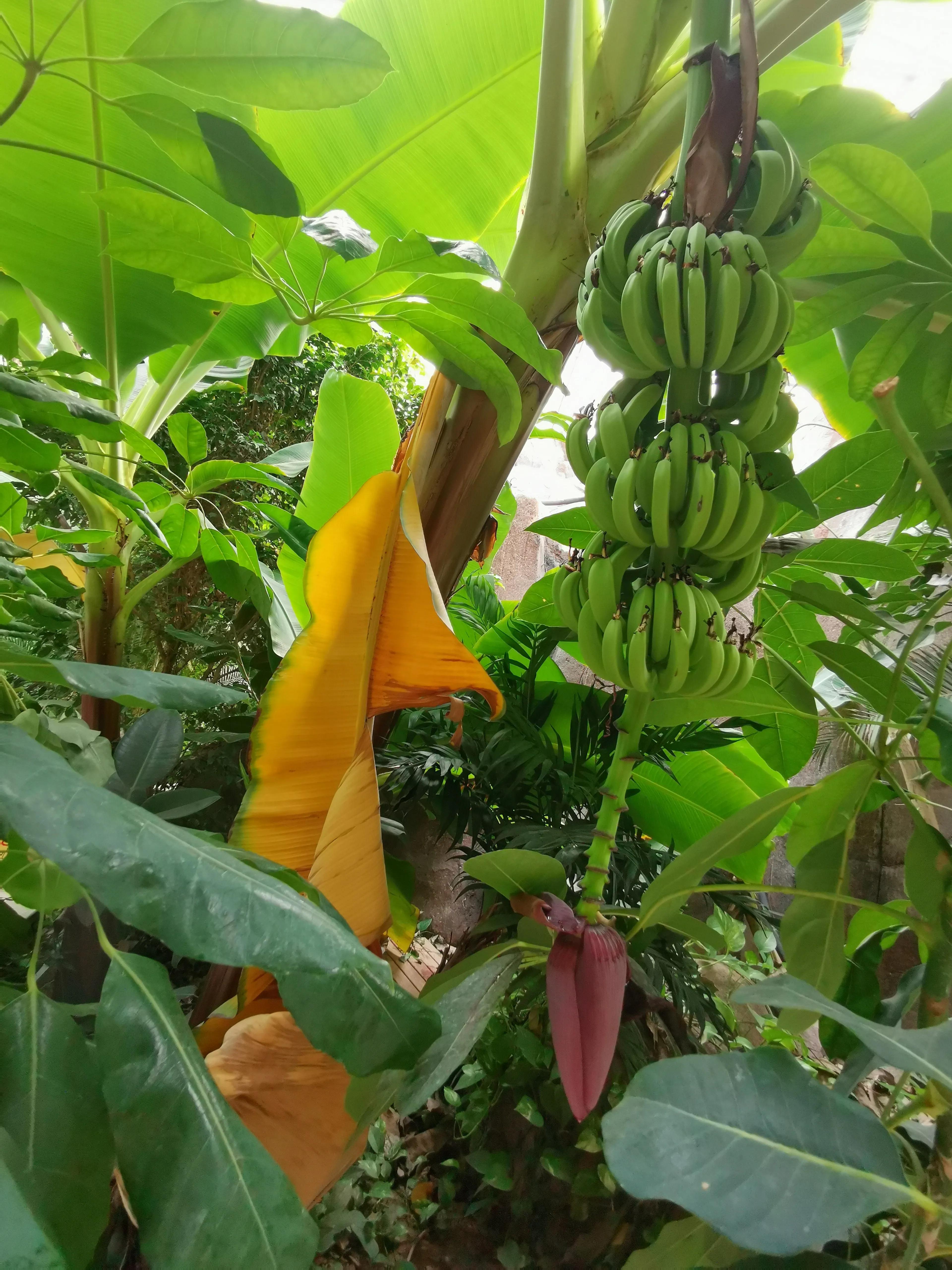 凤山温泉,北京金隅凤山温泉特色