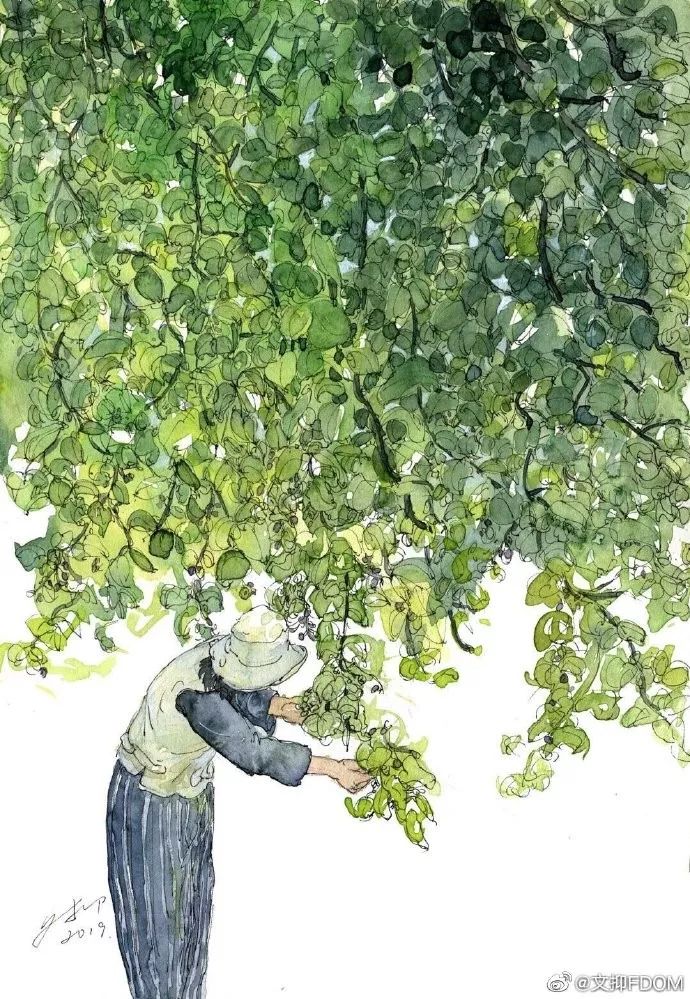 淡彩钢笔画技法,钢笔淡彩画基本知识