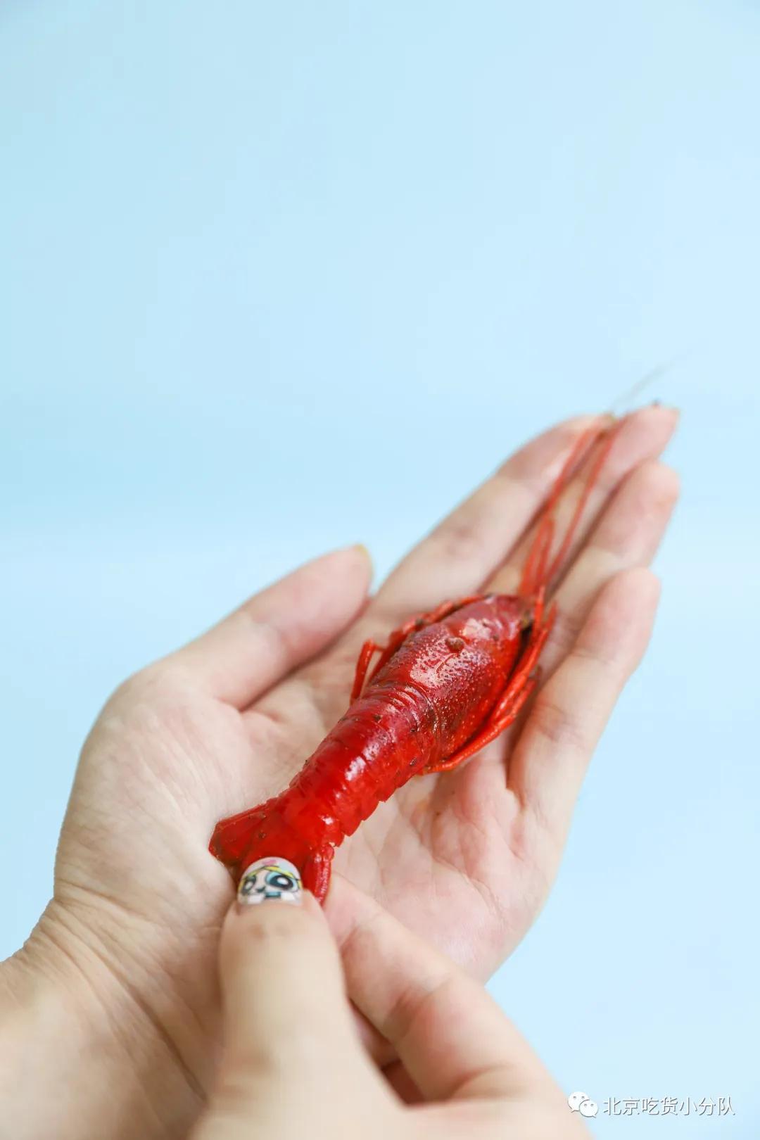 卖1百多亿的网红,卖一百多万商品的网红能赚多少钱