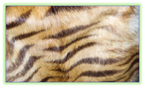 有关论语质胜文则野的事例,论语文胜质