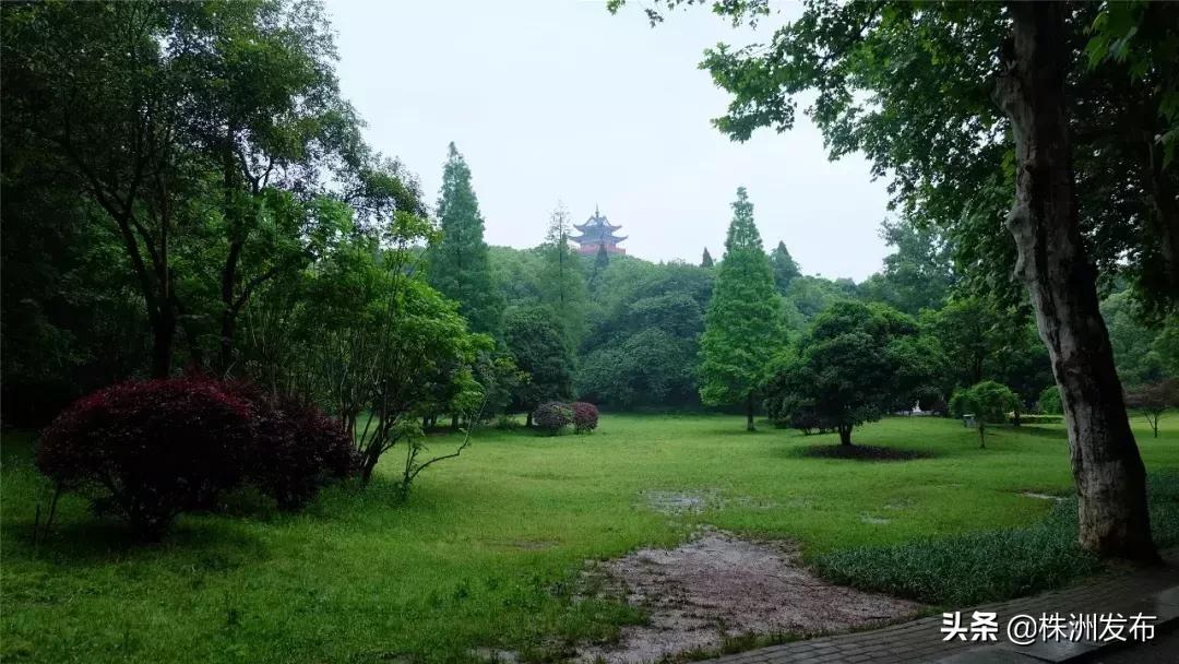 春日大自然美景视频,春日公园游玩美图视频