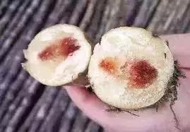 樱桃吃多了中毒如何自救,樱桃吃多了会中毒吗