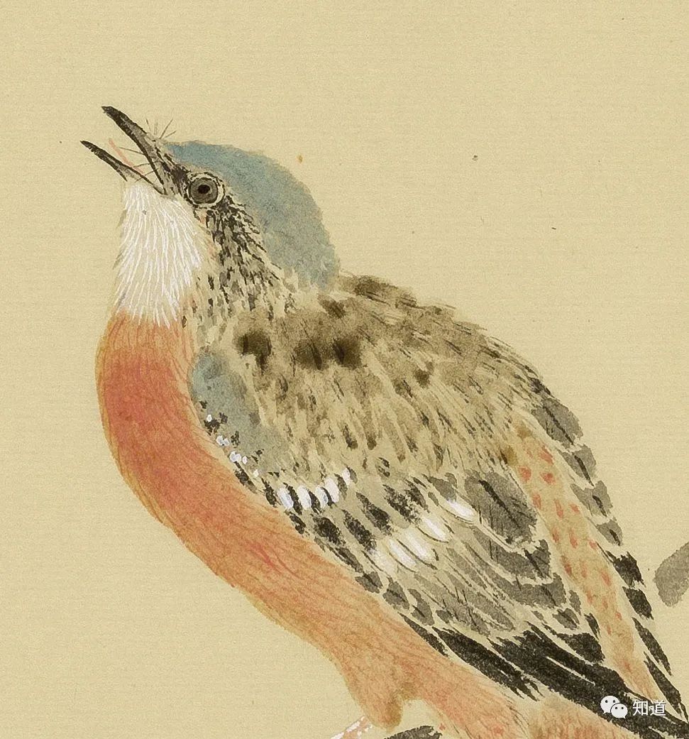 春天的脚步近了好像一切都醒来了,春天的脚步已经悄然而至