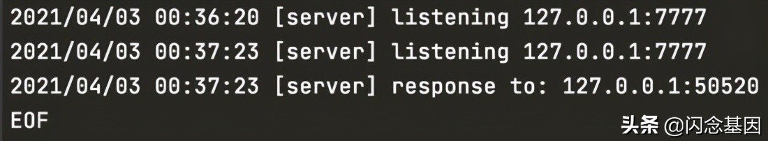 Go实践：Socket编程