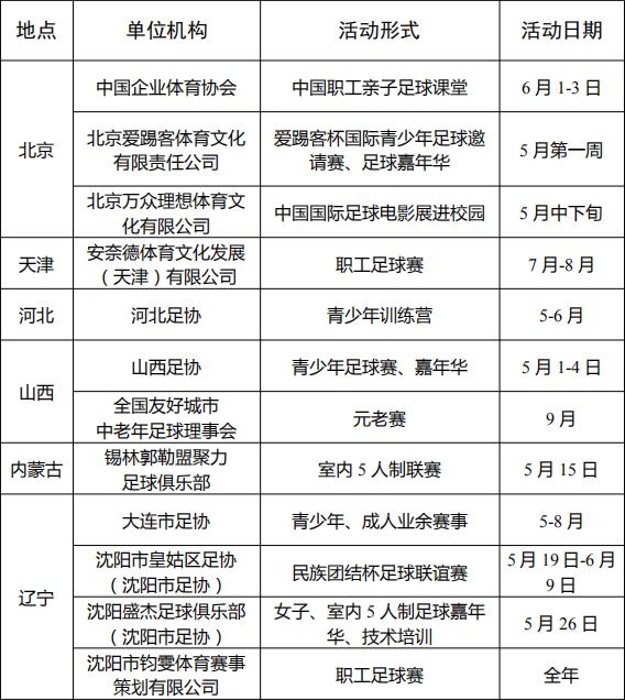为中国足球欢呼,为足球欢呼多特蒙德