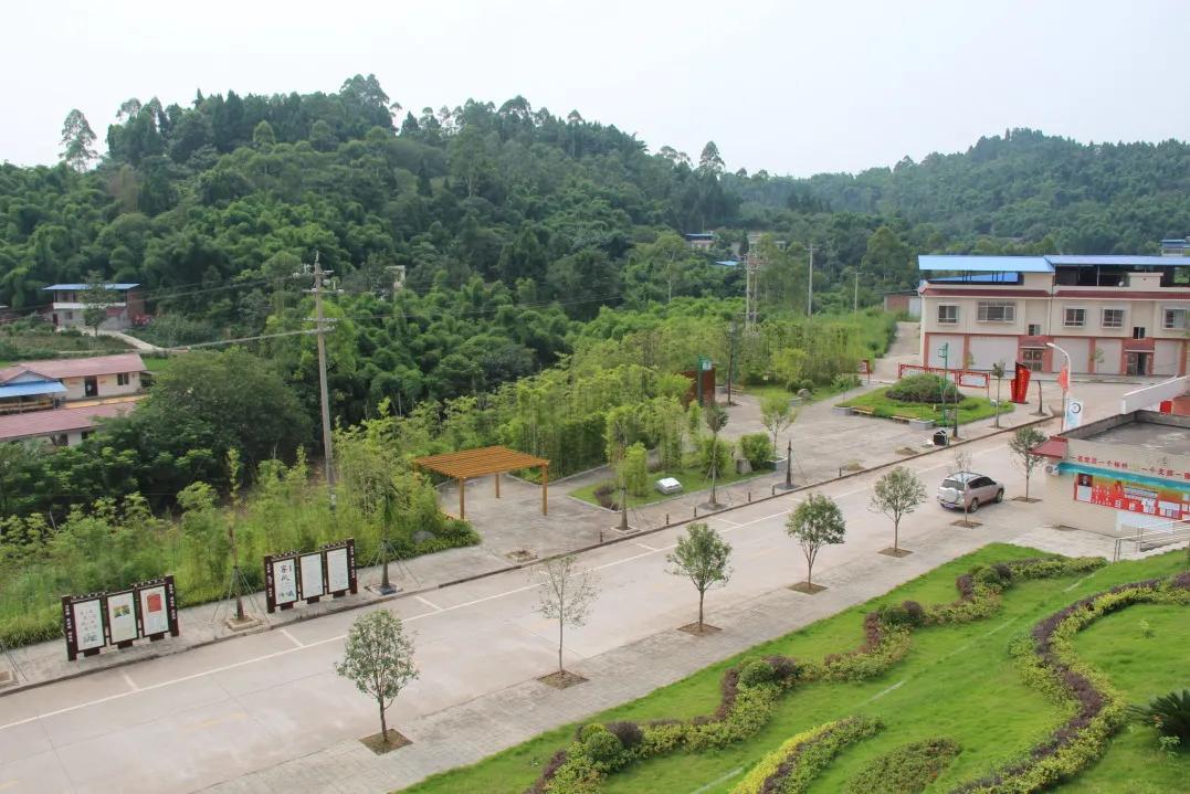 井研这五年丨门坎镇：“竹韵门坎”蝶变跃升