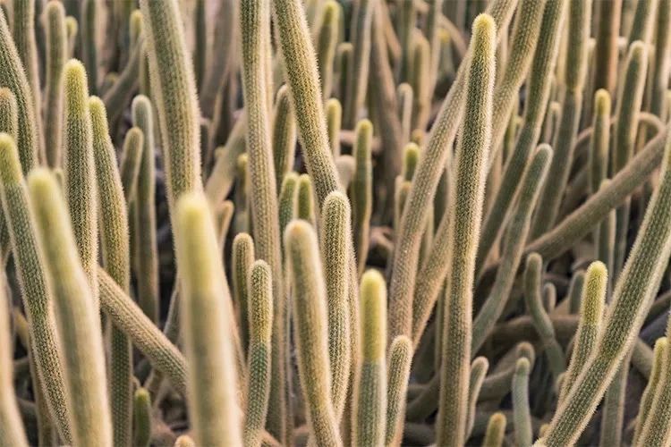 天下最美湖泊西湖,比西湖更美的湖泊