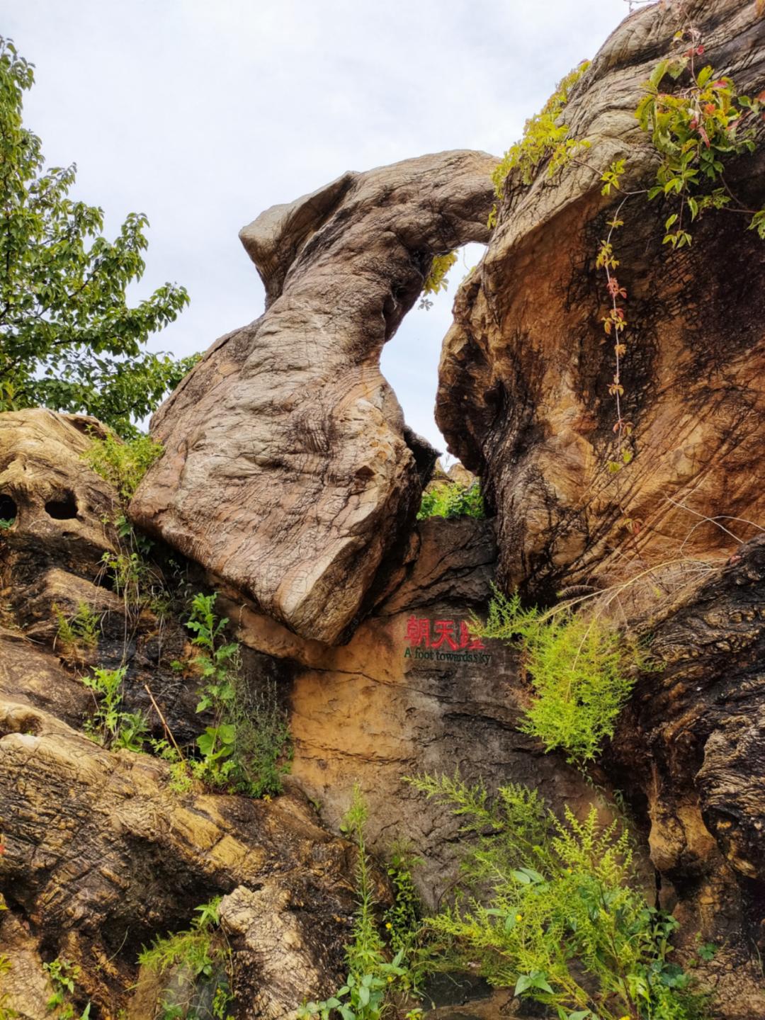 大连金石园奇石名称,大连市金石园