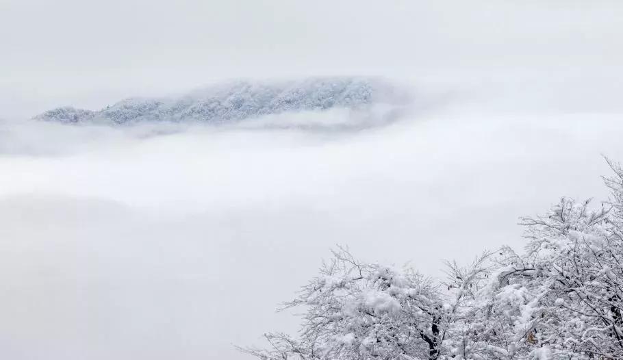 四川巴中为什么被誉为红军之乡,四川巴中出名吗