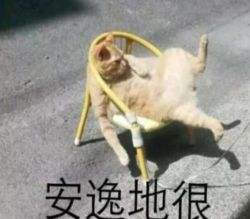 奥特曼贴吧十大事件,贴吧艾斯奥特曼事件