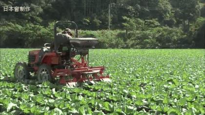 日本农业微型机器,日本农业机械基础