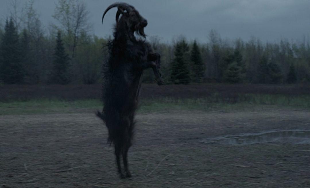 二十一世纪最吓人的恐怖片,21年很火的恐怖片