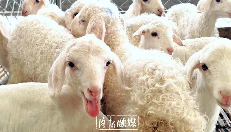 打工仔当上年薪百万公司老总,打工仔当上老板化身百万富翁