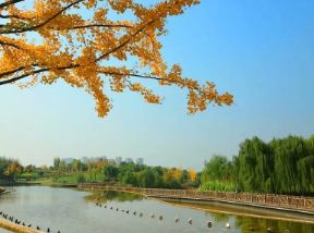 陕西浐灞区,陕西浐灞