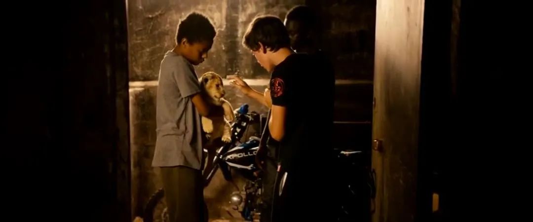 一部几乎零差评的高分神片,讽刺到极致的冷门好片