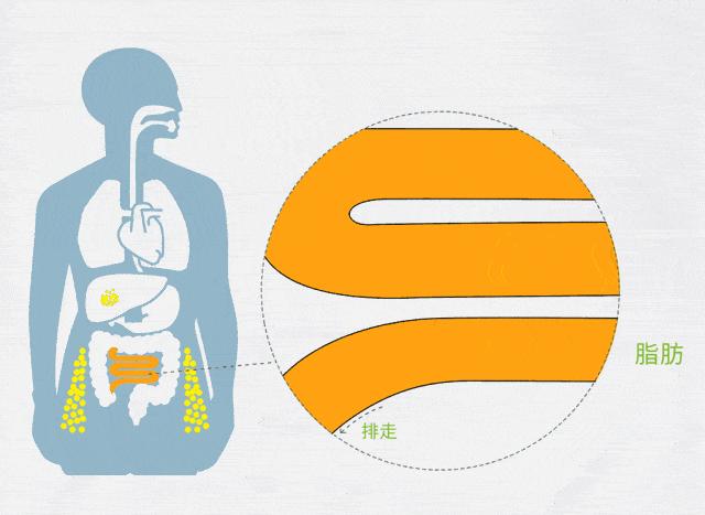 眼屎耳屎鼻屎都是怎么产生的,眼屎跟鼻屎是怎么来的