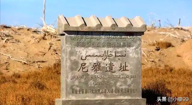 民丰尼雅遗址,新疆民丰尼雅文物