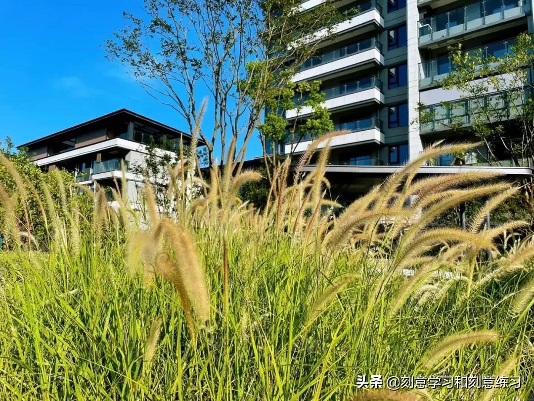 年轻人可以在深圳扎根吗,普通人如何在深圳生存下来