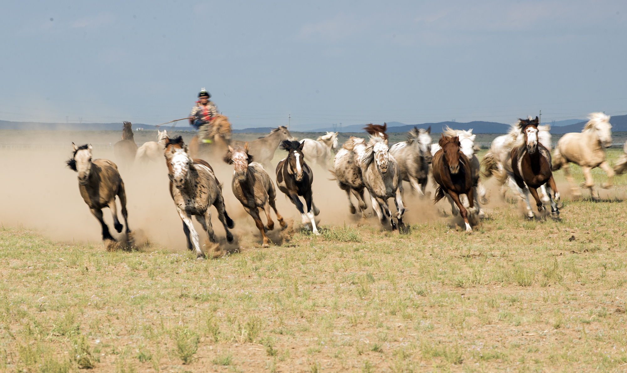 蒙古族传统体育之赛马,蒙古族传统体育项目博克