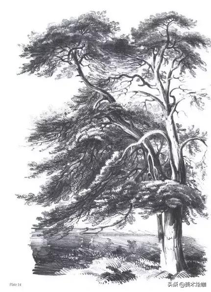 静物素描风景图临摹,简单又好画的彩铅素描风景图