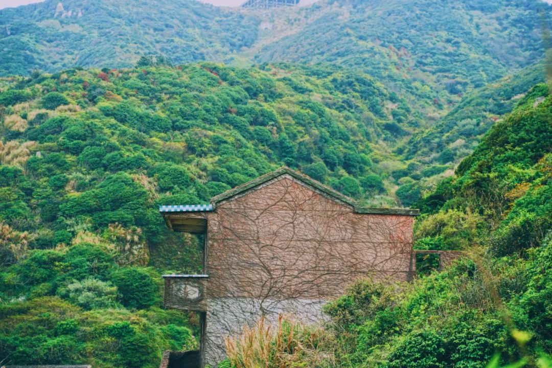 好久不见，嵊泗想念——一场色彩之旅