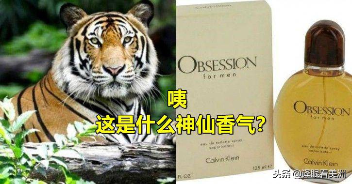 ck鐢峰＋棣欐按鏌戞,ck鐢峰＋棣欐按姝ｅ搧