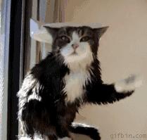 这个城市号称世界gay都，还发明了最出名的假中国菜，你知道吗？