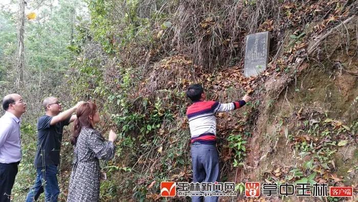 青山处处埋忠骨要看的视频,青山处处埋忠骨烈士视频