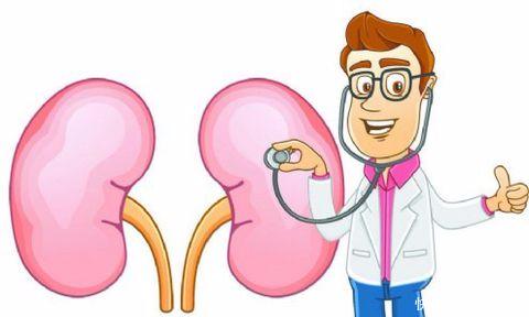 怎么判断肾虚是肾阳虚还是肾阴虚,肾虚分为肾阴虚和肾阳虚如何区分