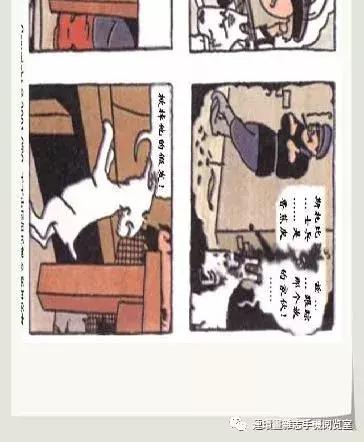 丁丁和丁丁历险记论文,丁丁历险记丁丁的服装