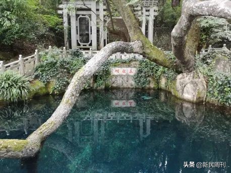 最坑的网红景点,寻物景点