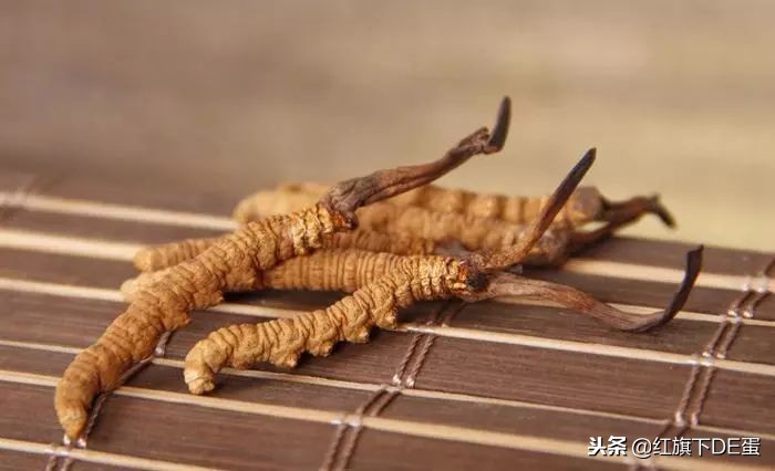 冬虫夏草为什么被踢出保健圈,冬虫夏草为什么被人踢出保健圈