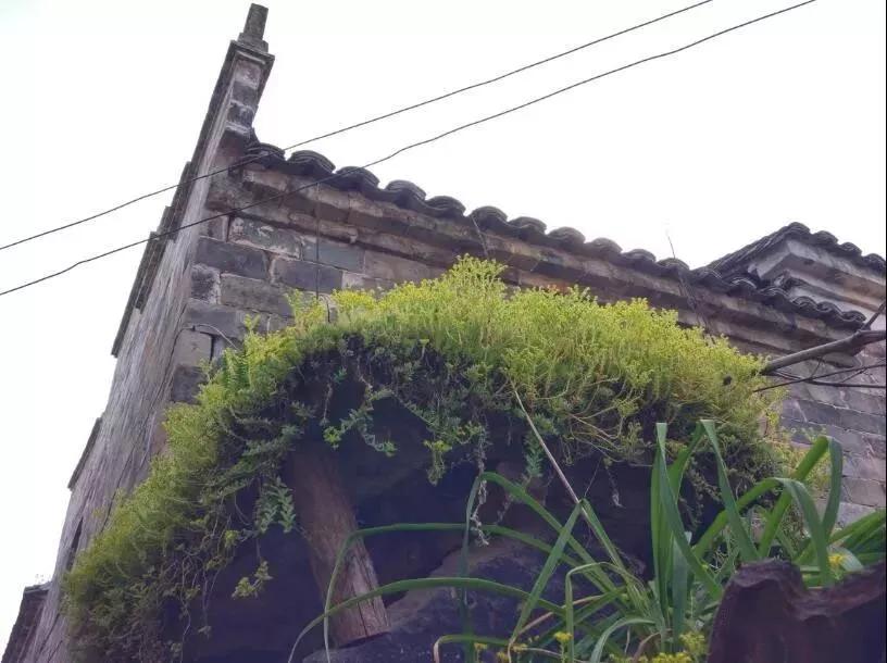 勇敢者的天堂—雷峰漂流，游张思古村一个可以托梦的故乡